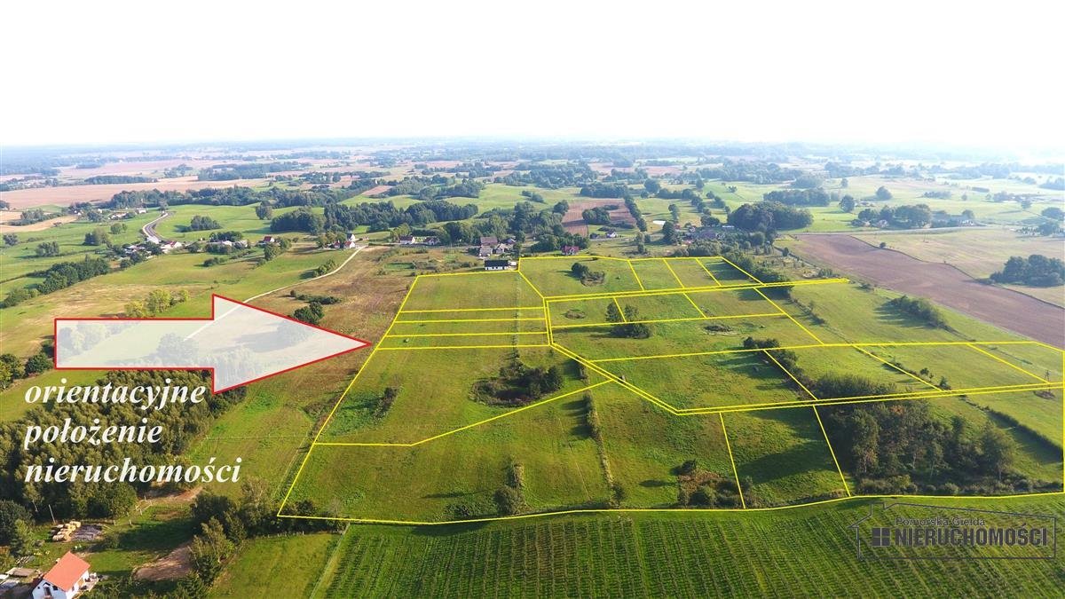 Działka inna na sprzedaż Zagozd  10 542m2 Foto 6