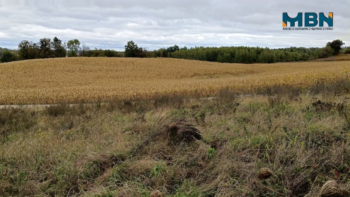 Działka budowlana na sprzedaż gajewo, gajewo, gajewo  1 131m2 Foto 8