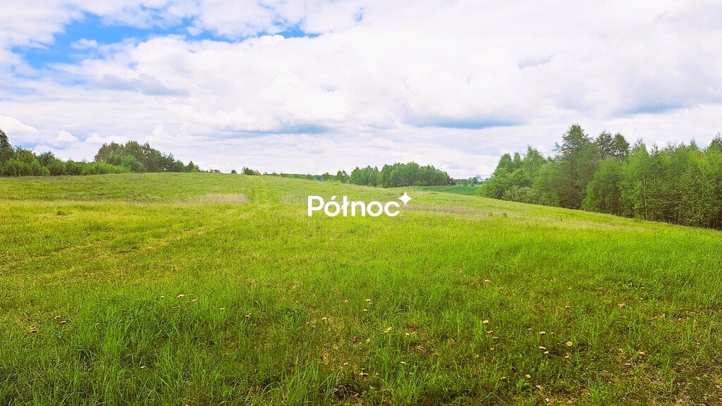 Działka pod dom w Dąbrówce Wielkiej, 3034 m2, warunki zabudowy Dąbrówka Wielka  3 031m2 Foto 1