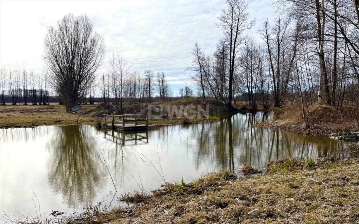 Działka inna na sprzedaż Brzozówka, Brzozówka  99 000m2 Foto 5