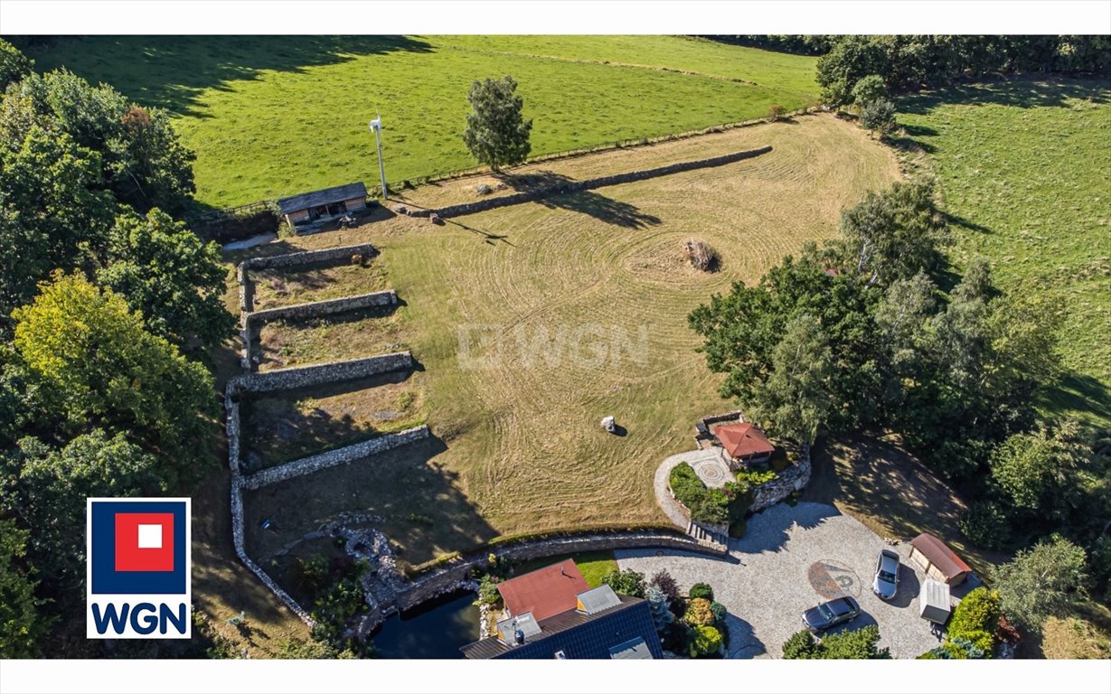 Działka budowlana na sprzedaż Ściegny, Księża Góra  4 010m2 Foto 15