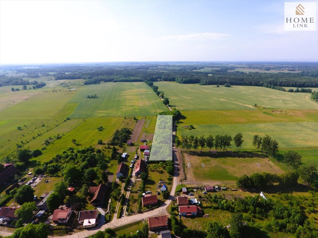 Działka budowlana na sprzedaż Liwa, Zielona  5 000m2 Foto 2