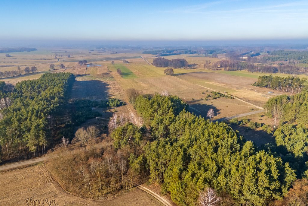 Działka siedliskowa na sprzedaż Borki  101 600m2 Foto 20