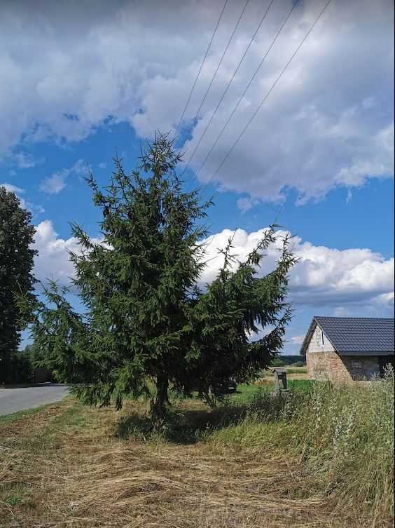 Działka rekreacyjna na sprzedaż Hrubieszów  5 000m2 Foto 2