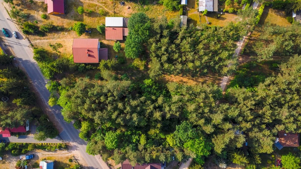 Działka budowlana na sprzedaż Borzymy, Kuracyjna  1 300m2 Foto 5