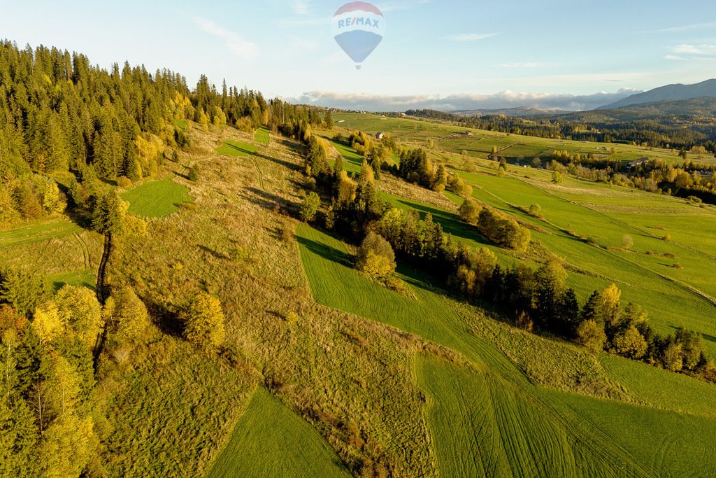 Działka rolna na sprzedaż Czarna Góra  1 105m2 Foto 3