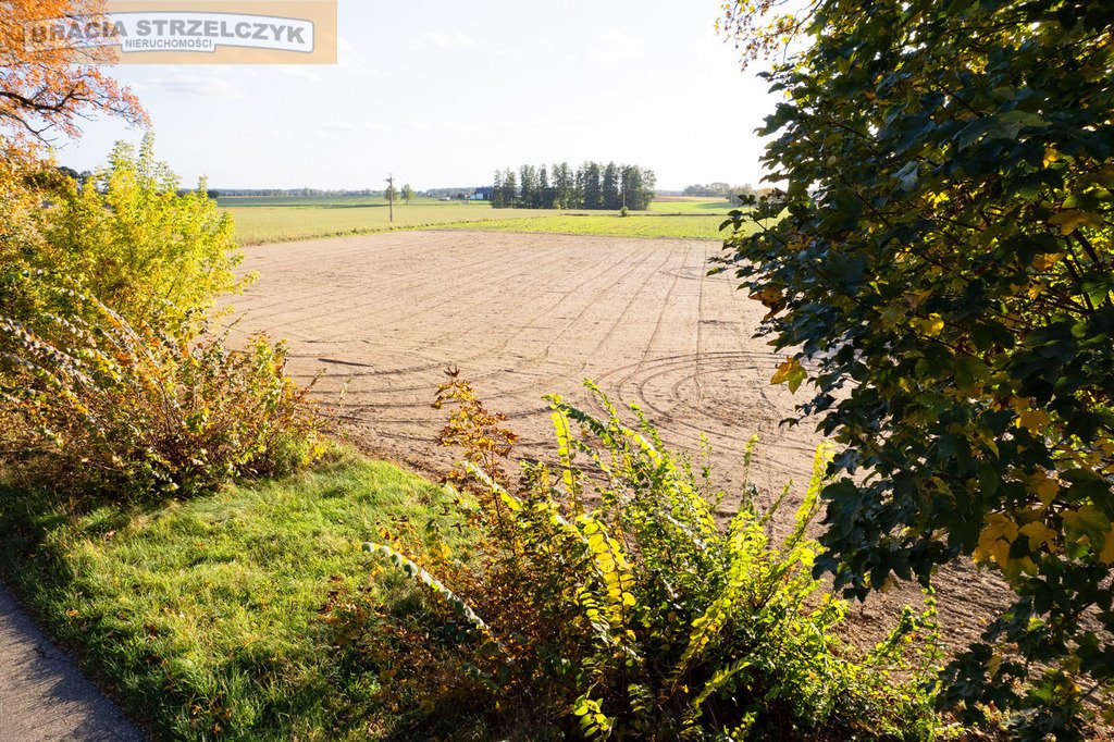 Działka budowlana na sprzedaż Winnica  1 900m2 Foto 1