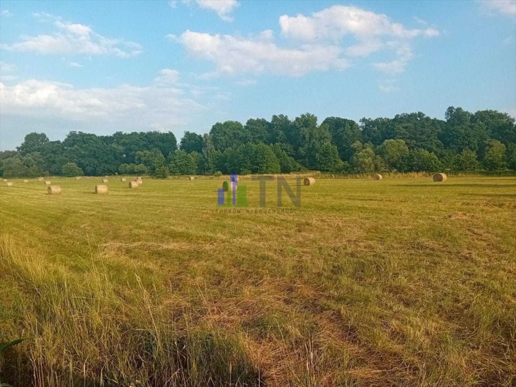 Działka rolna na sprzedaż Sadowice  7 400m2 Foto 7