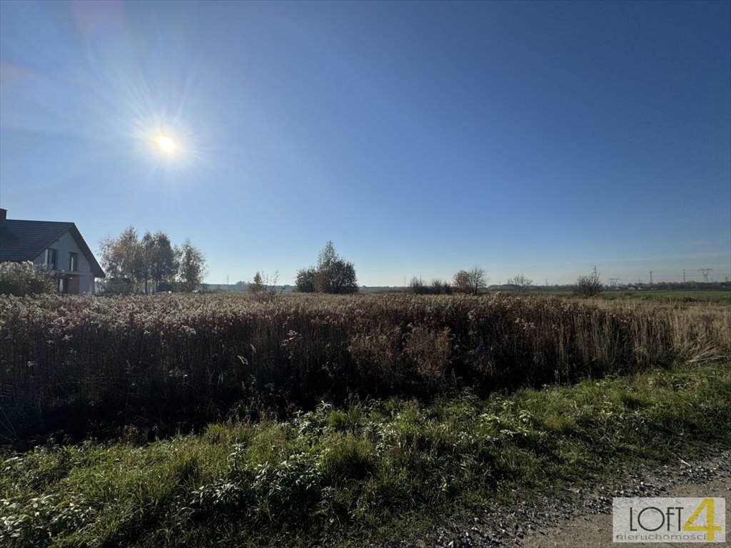 Działka inna na sprzedaż Pawęzów  3 700m2 Foto 12