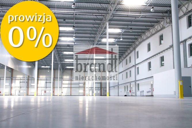 Lokal użytkowy na wynajem Macierzysz 2 300m2 Foto 1 Lokal użytkowy na wynajem Macierzysz 2 300m2 Foto 1