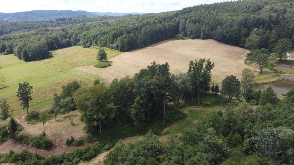 Działka budowlana na sprzedaż Lutcza  107 000m2 Foto 4