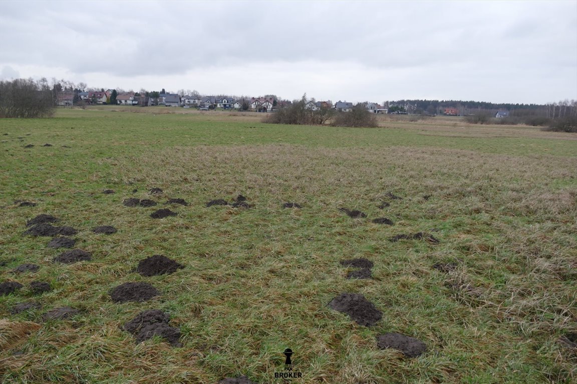 Działka rolna na sprzedaż Staniątki  3 993m2 Foto 4