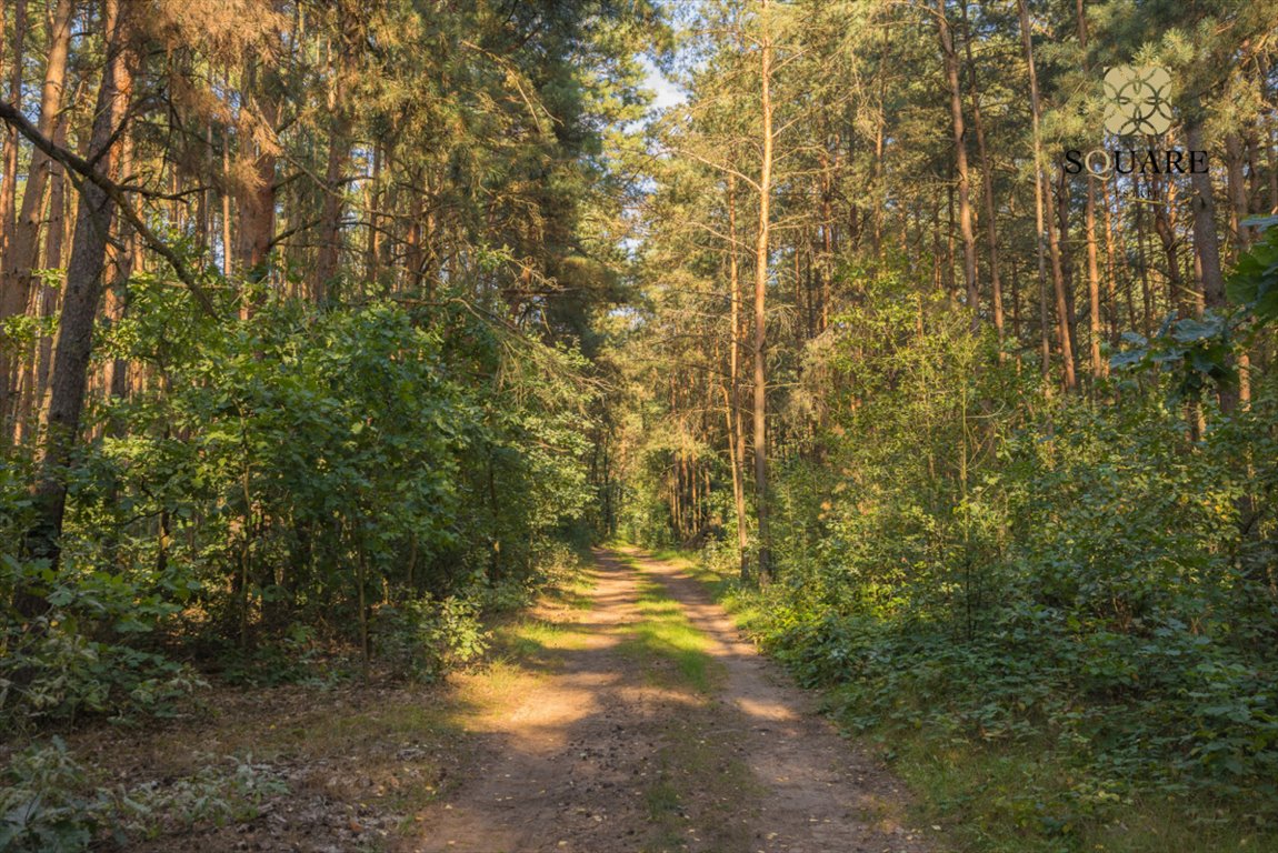 Działka budowlana na sprzedaż Niwy Ostrołęckie  2 133m2 Foto 6