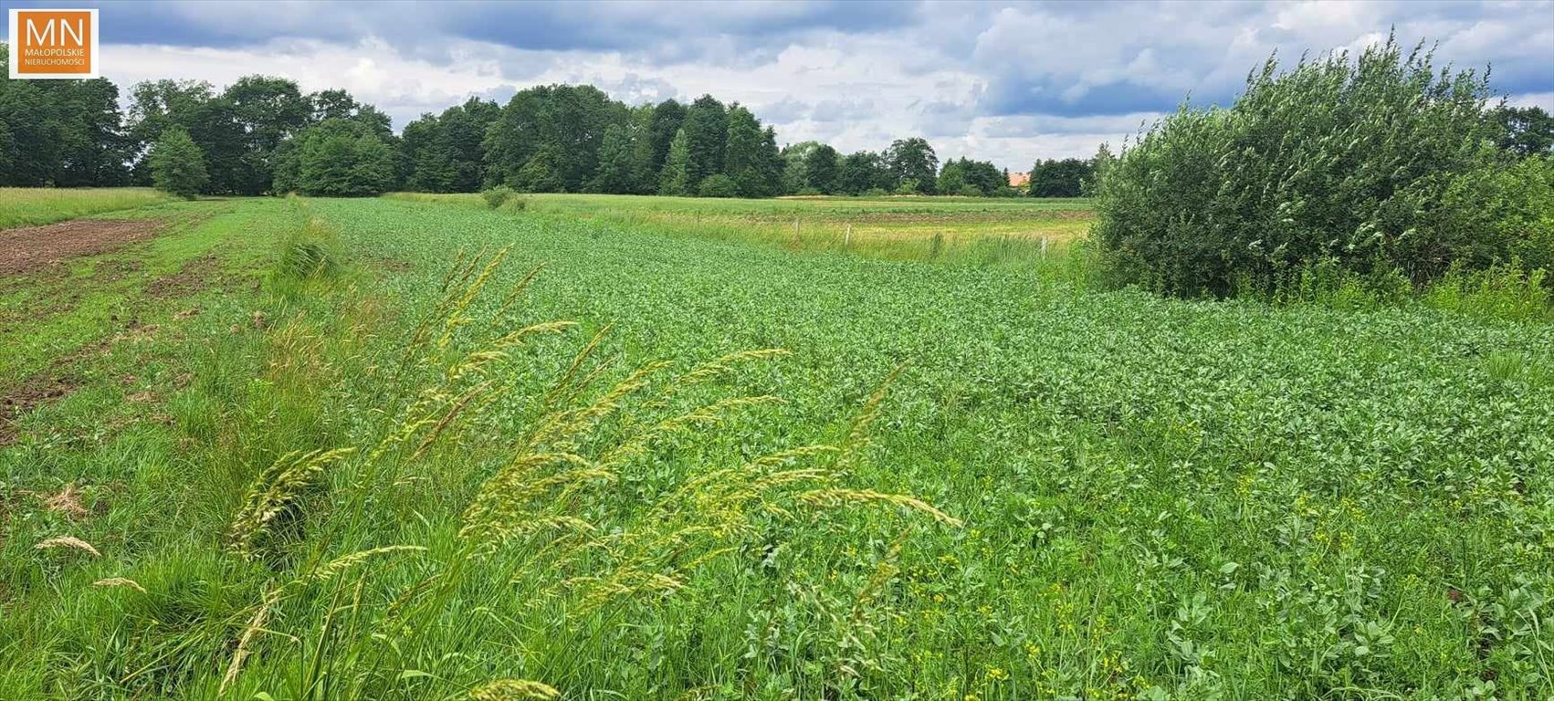 Działka rekreacyjna na sprzedaż Grobla  2 700m2 Foto 1