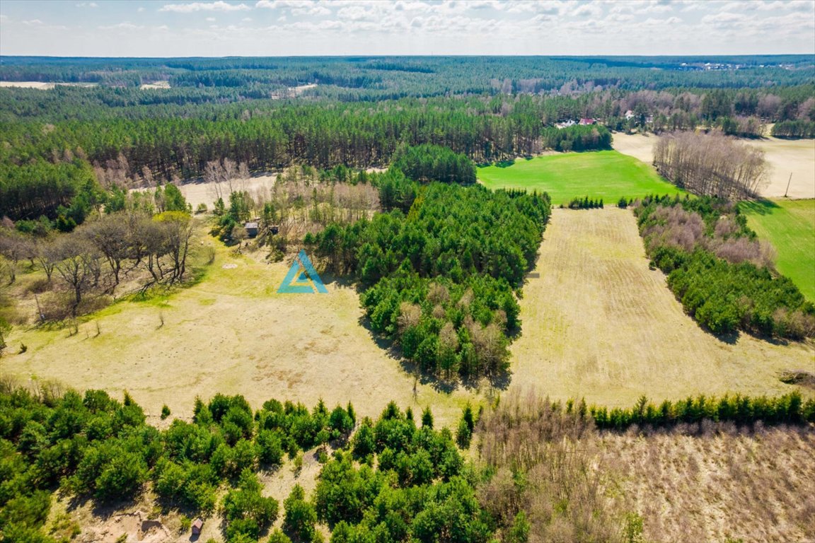 Działka siedliskowa na sprzedaż Lipy  26 821m2 Foto 11