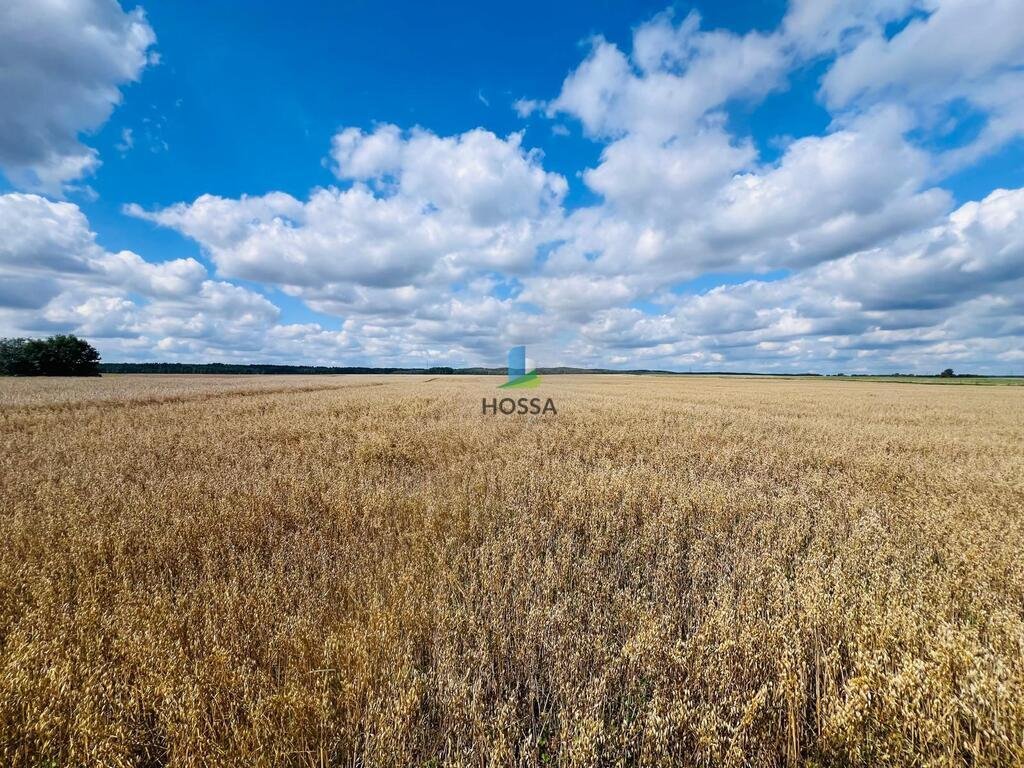 Działka budowlana na sprzedaż Radomin  15 898m2 Foto 10