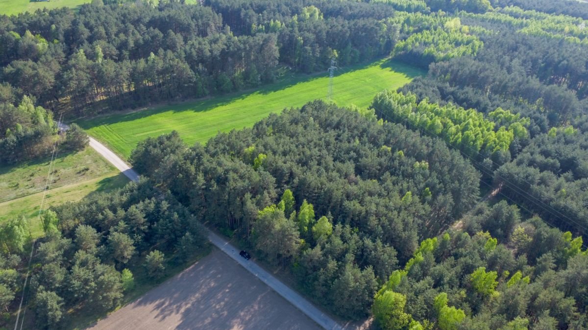 Działka rekreacyjna na sprzedaż Nowe Bosewo, Lipnik  1 245m2 Foto 7