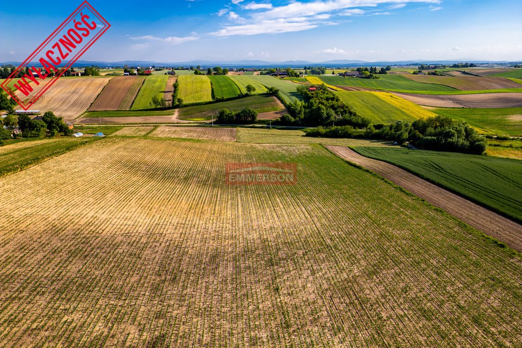 Działka rolna na sprzedaż Grębocin  40 000m2 Foto 3