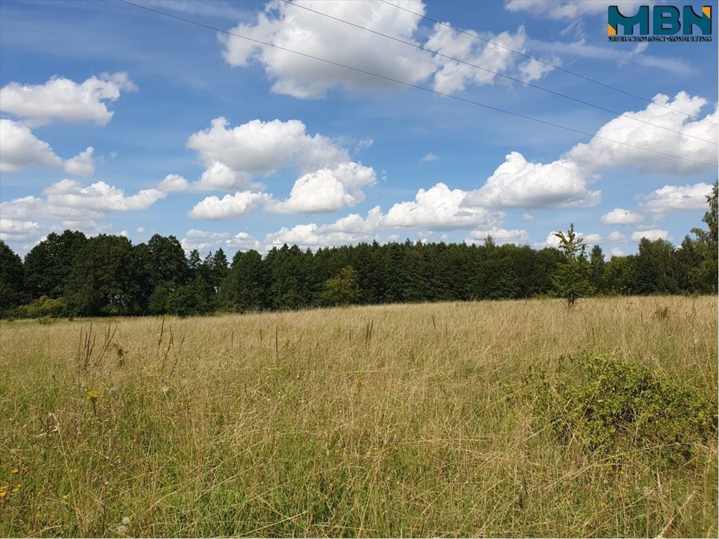 Działka rekreacyjna na sprzedaż Harsz, Harsz  4 720m2 Foto 7