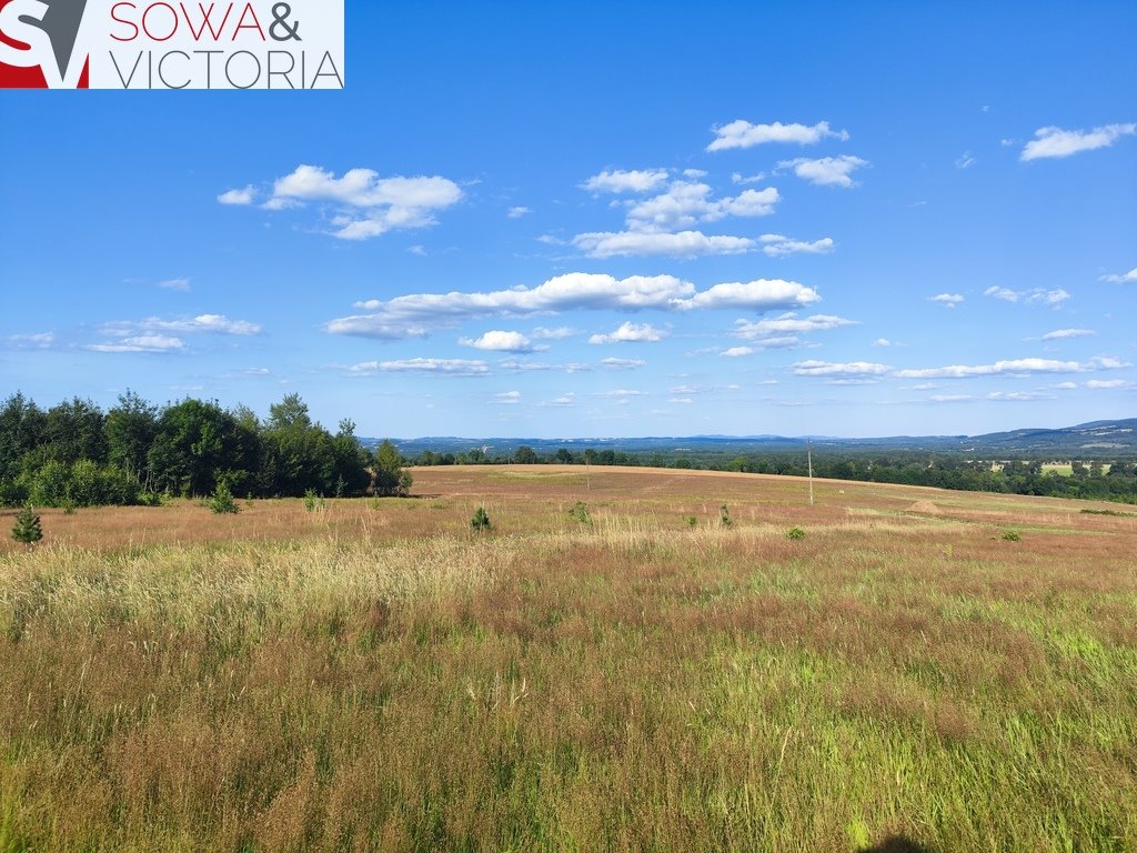 Działka budowlana na sprzedaż Pobiedna  1 114m2 Foto 2