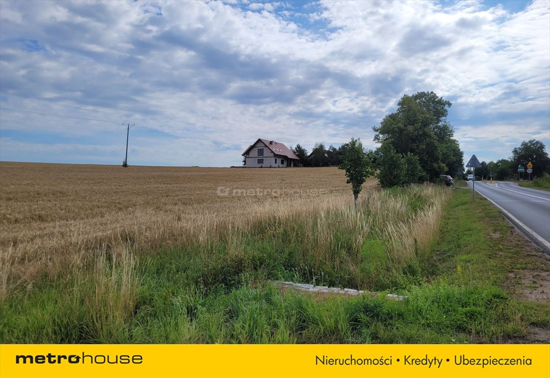 Działka siedliskowa na sprzedaż Piława  1 107m2 Foto 3