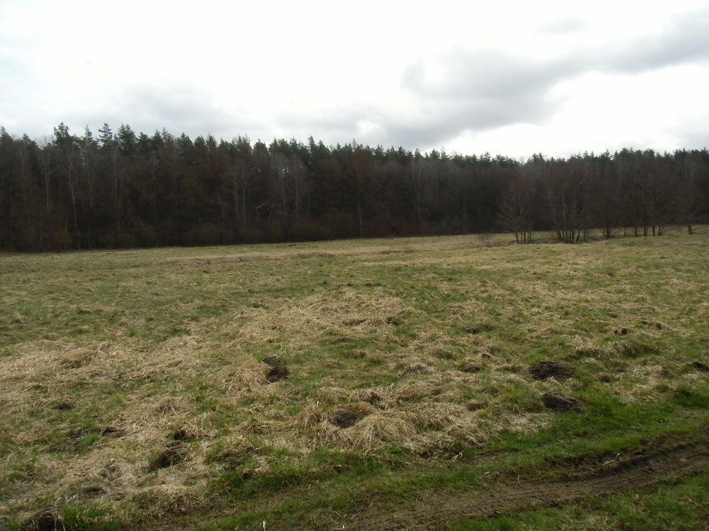 Działka rolna na sprzedaż Tawęcino  136 800m2 Foto 3