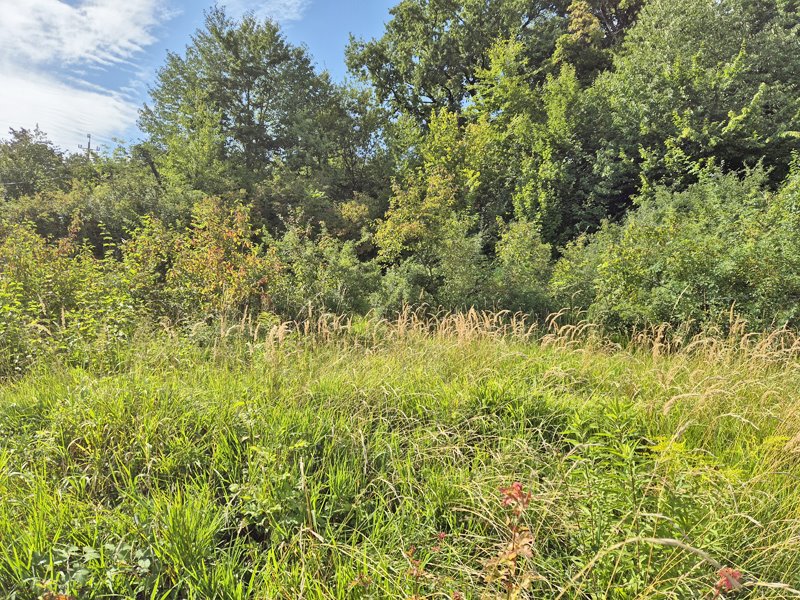 Działka budowlana na sprzedaż Skoczów  650m2 Foto 5