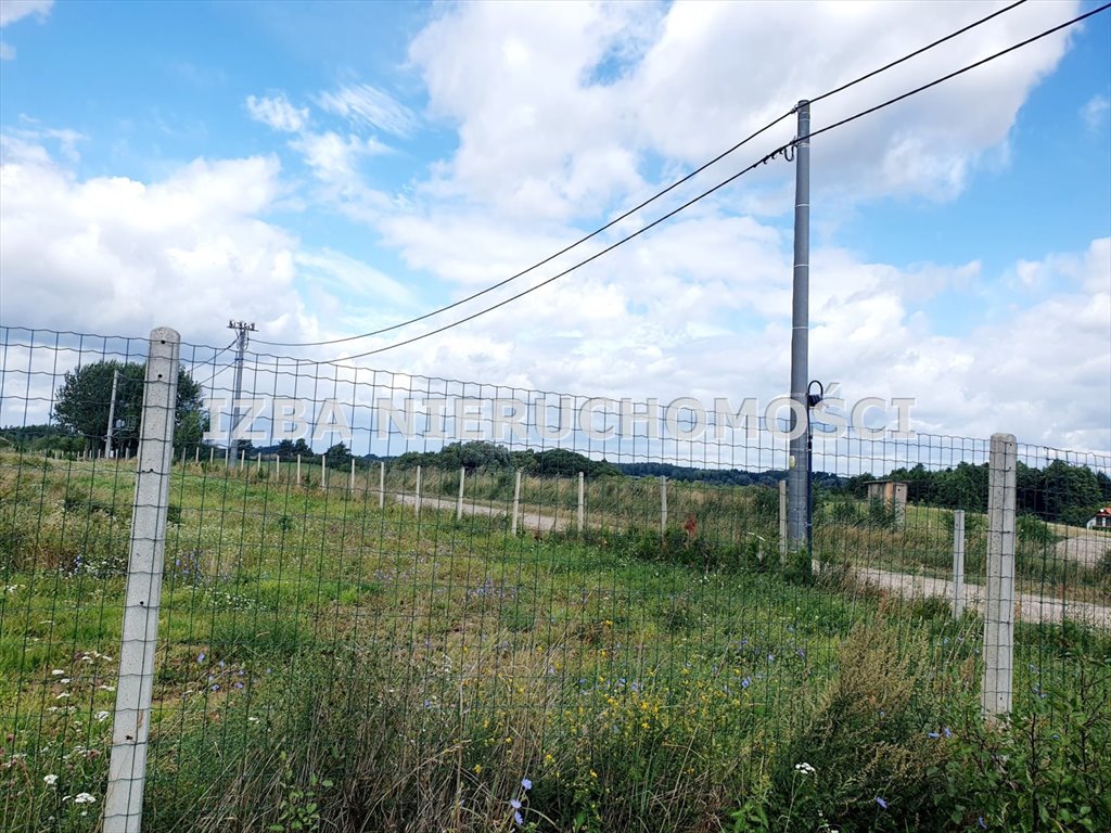 Działka budowlana na sprzedaż Chruściele  3 000m2 Foto 5