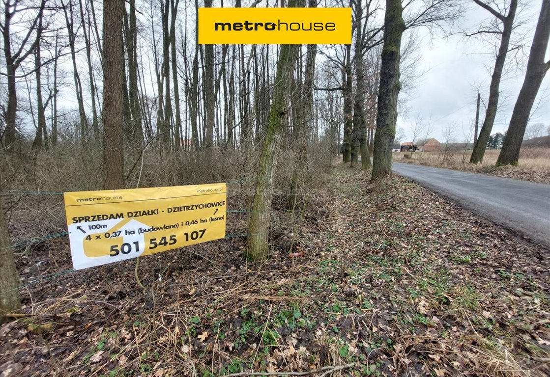 Działka leśna 0,46 ha z możliwością zabudowy w Dzietrzychowicach Dzietrzychowice  4 600m2 Foto 1