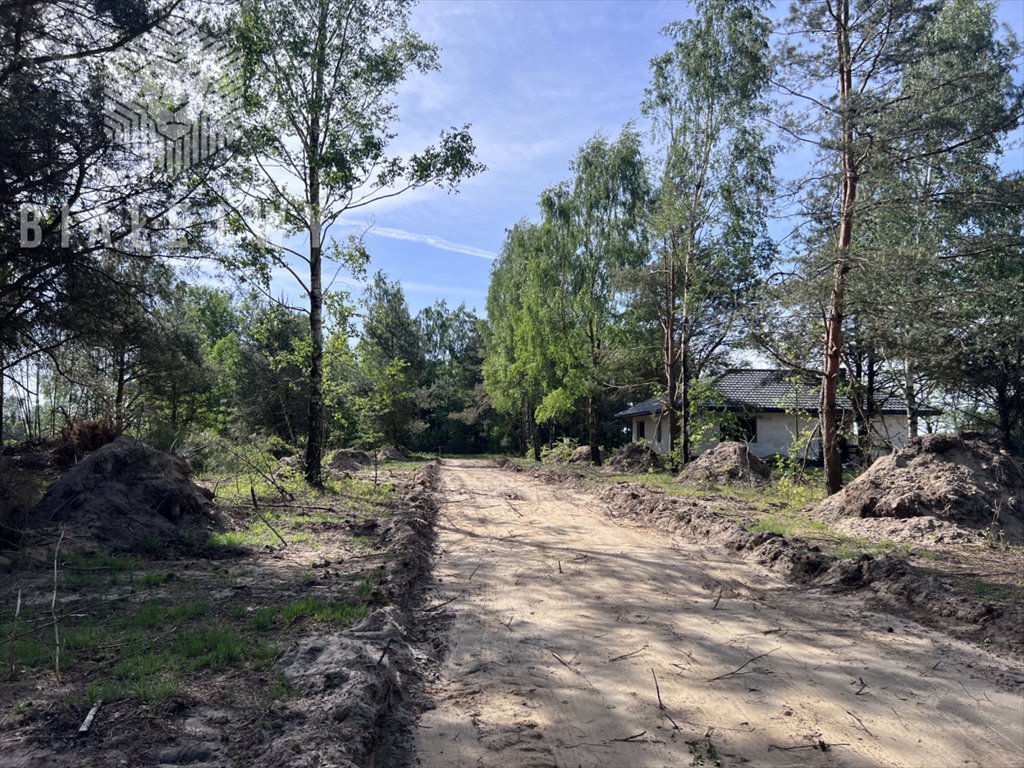 Działka budowlana na sprzedaż Osuchów  3 001m2 Foto 2