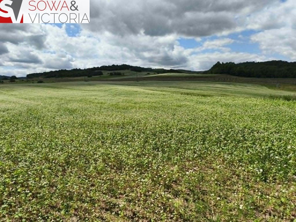 Do sprzedania działka rolna 23 000 m² z dojazdem asfaltowym Stare Bogaczowice  23 000m2 Foto 1