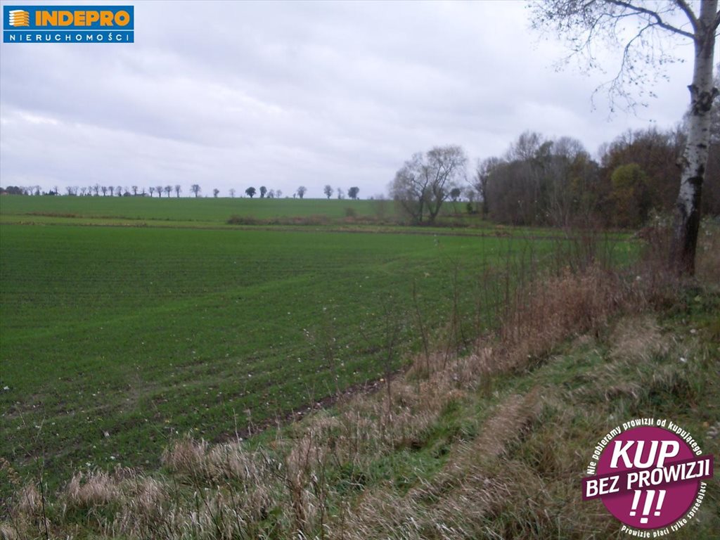 Działka rolna na sprzedaż Krusza Duchowna-Krusza Zamkowa 3 536m2 Foto 1 Działka rolna na sprzedaż Krusza Duchowna-Krusza Zamkowa 3 536m2 Foto 1