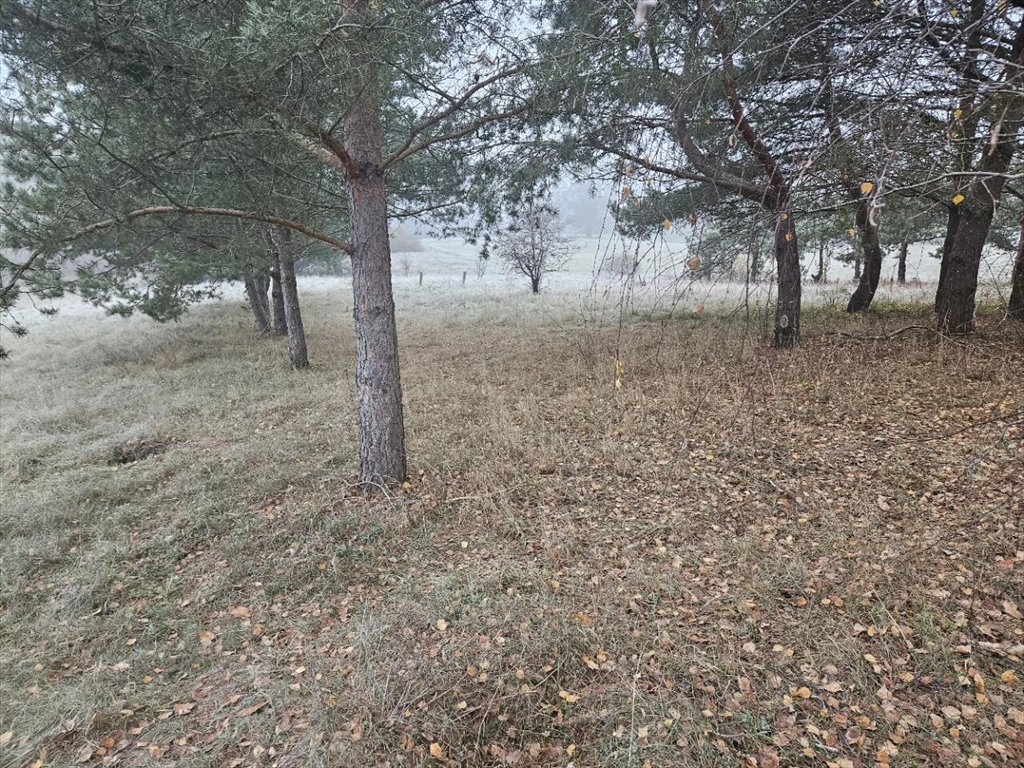 Działka rekreacyjna na sprzedaż Koczek  9 000m2 Foto 10