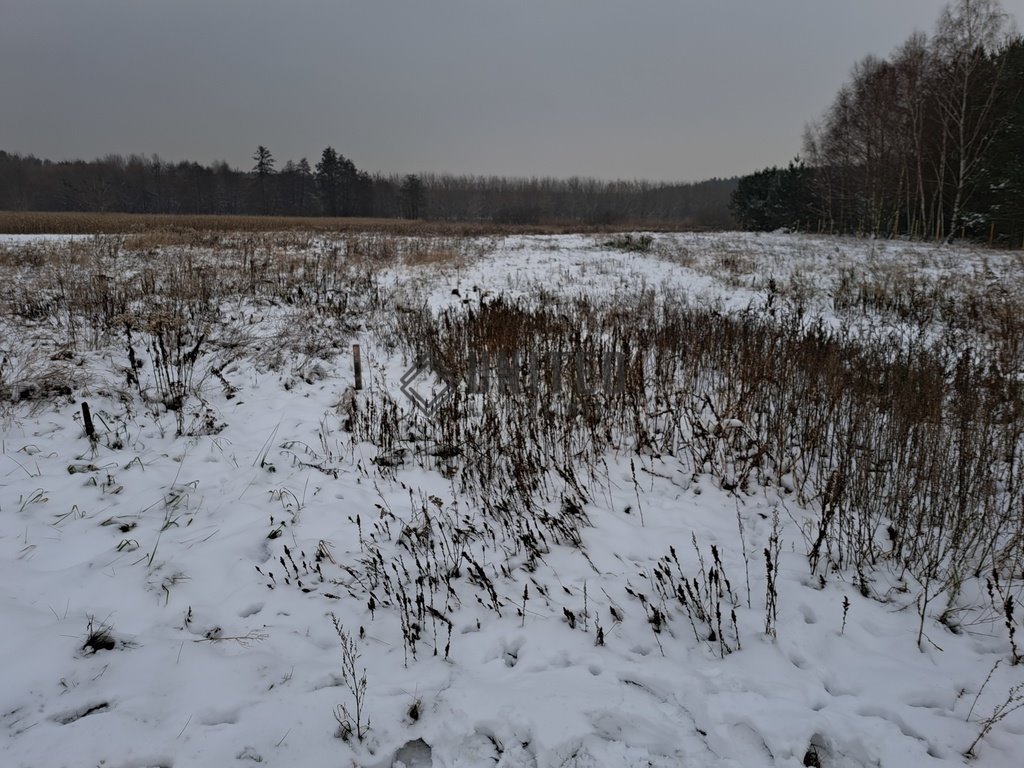 Działka budowlana na sprzedaż Miłocice Małe  1 003m2 Foto 5