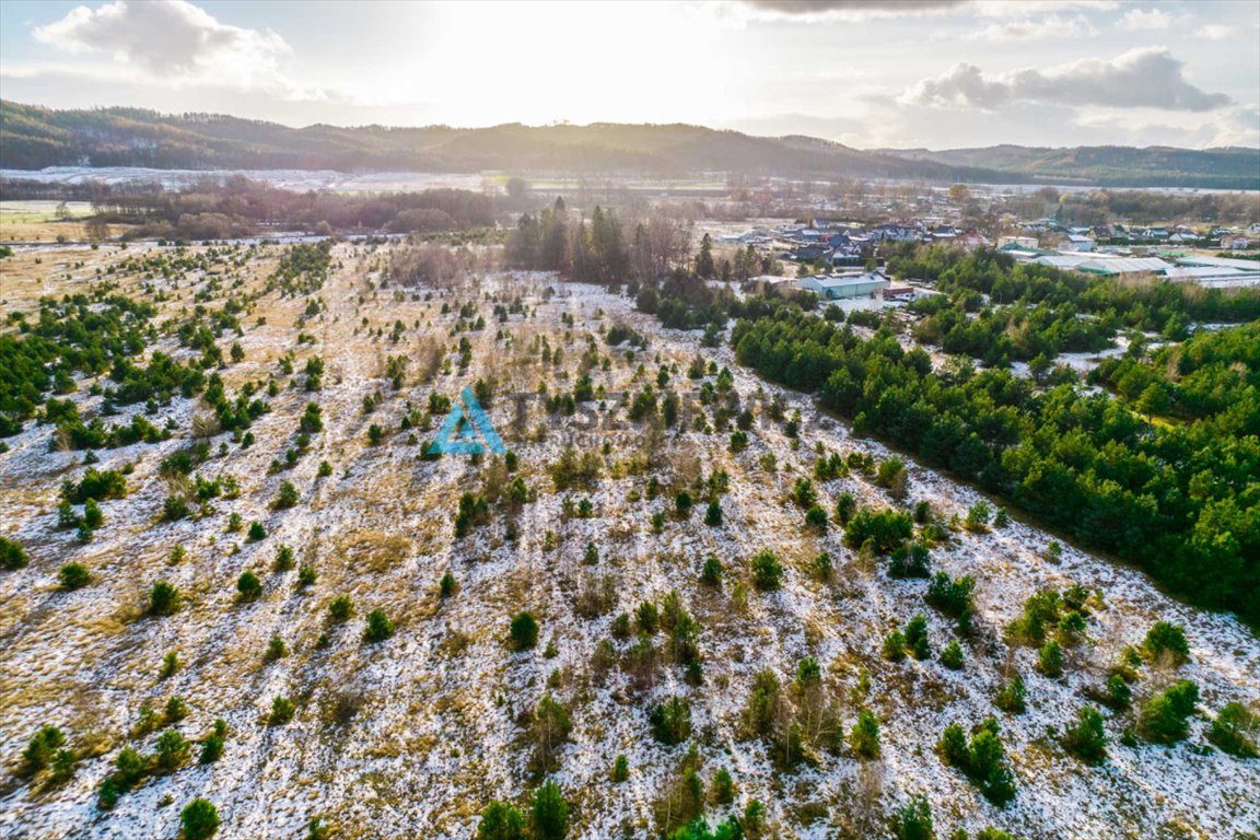 Działka przemysłowo-handlowa na sprzedaż Bożepole Małe  36 800m2 Foto 12