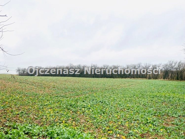Działka 995 m² z mediami, las w pobliżu - polecam Szkocja  995m2 Foto 1
