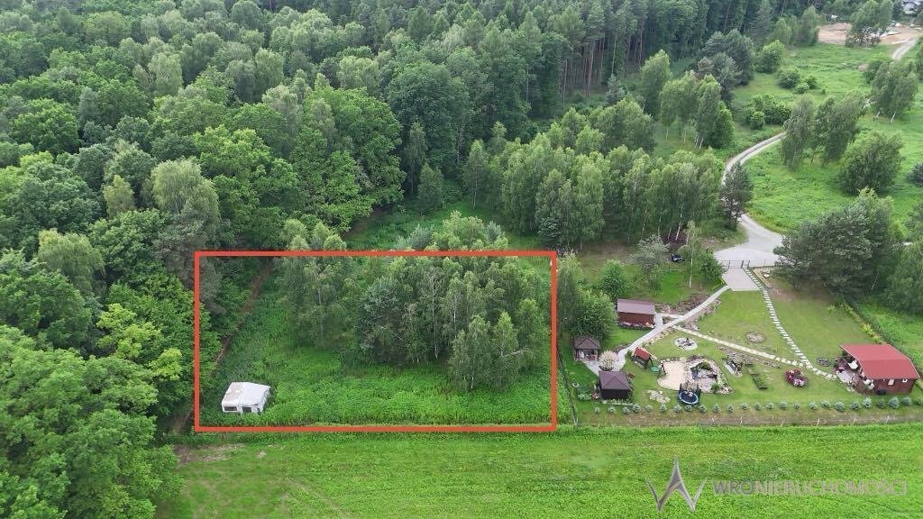 Działka przy lesie w Holendrach 3 167 m² – cisza i natura Białe Błoto, Holendry  3 167m2 Foto 1