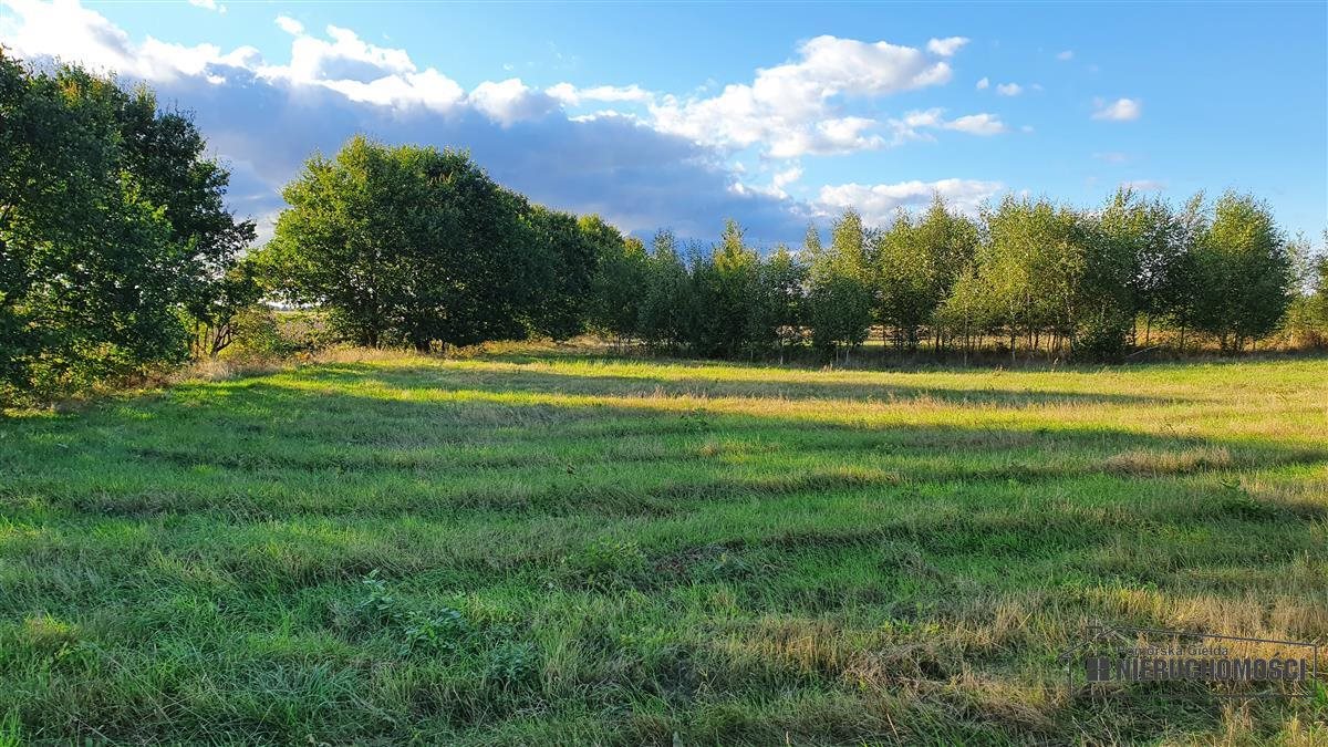 Działka budowlana na sprzedaż Dargikowo, działka  1 007m2 Foto 10