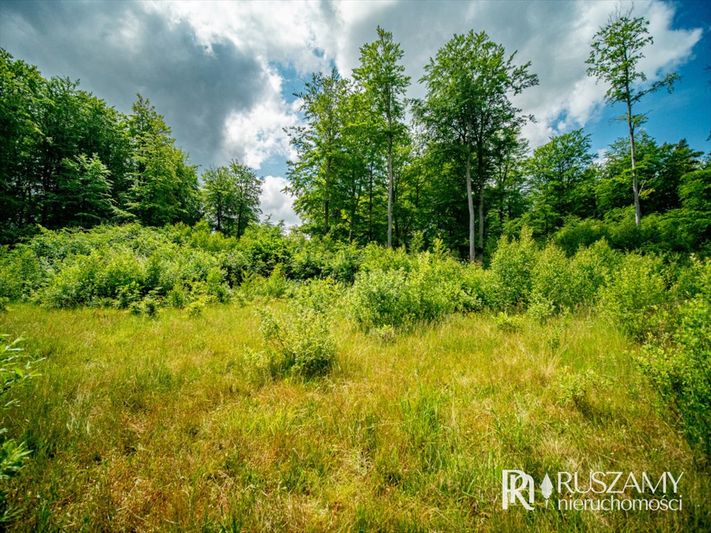 Działka budowlana na sprzedaż Przyjaźń, Mała Przyjaźń, Świerkowa  3 397m2 Foto 9