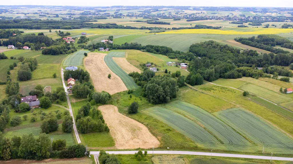 Działka budowlana na sprzedaż Niechobrz  18 300m2 Foto 18