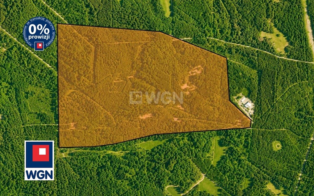 Na sprzedaż duża działka 159 ha z budynkami w Boruczy Borucza, Borucza  1 594 300m2 Foto 1