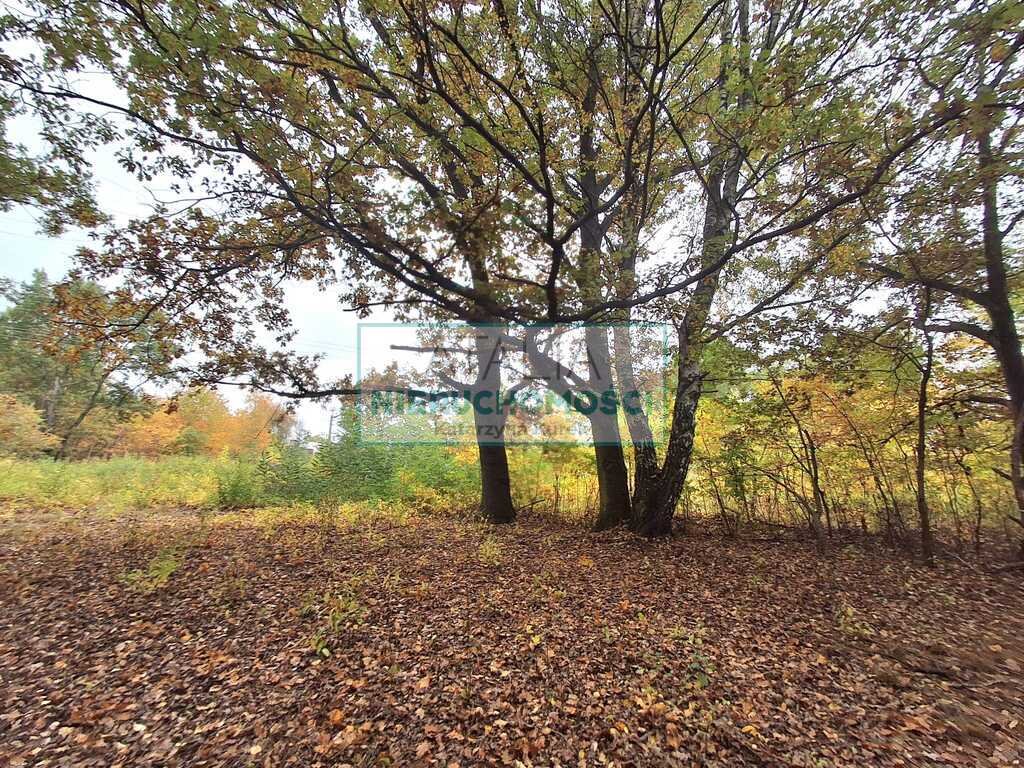 Sprzedam działkę 2003 m² w Milanówku z mediami i zielenią Milanówek  2 000m2 Foto 1