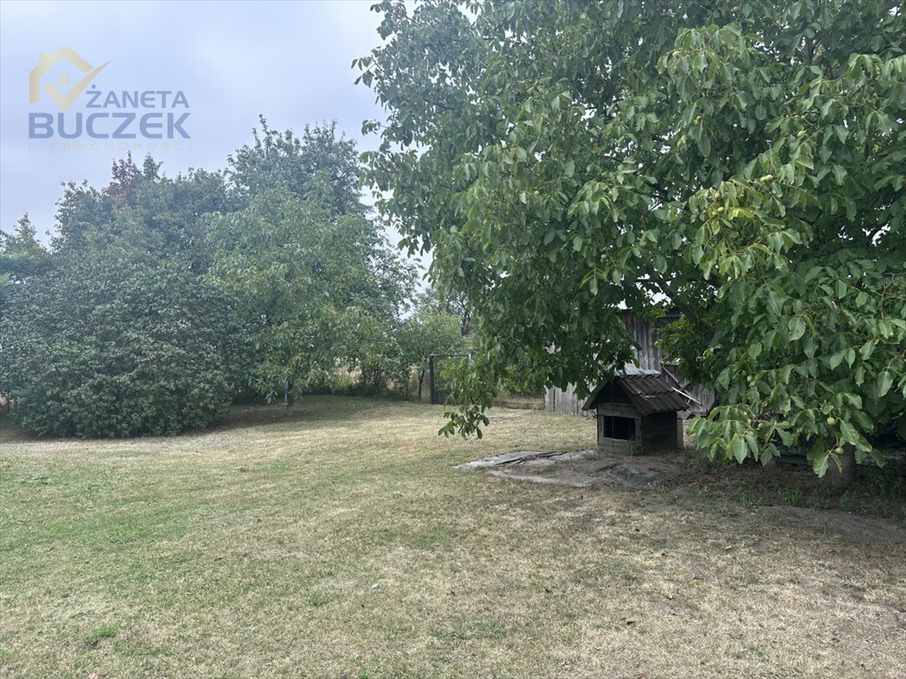 Działka siedliskowa na sprzedaż Pasikonie  28 900m2 Foto 1