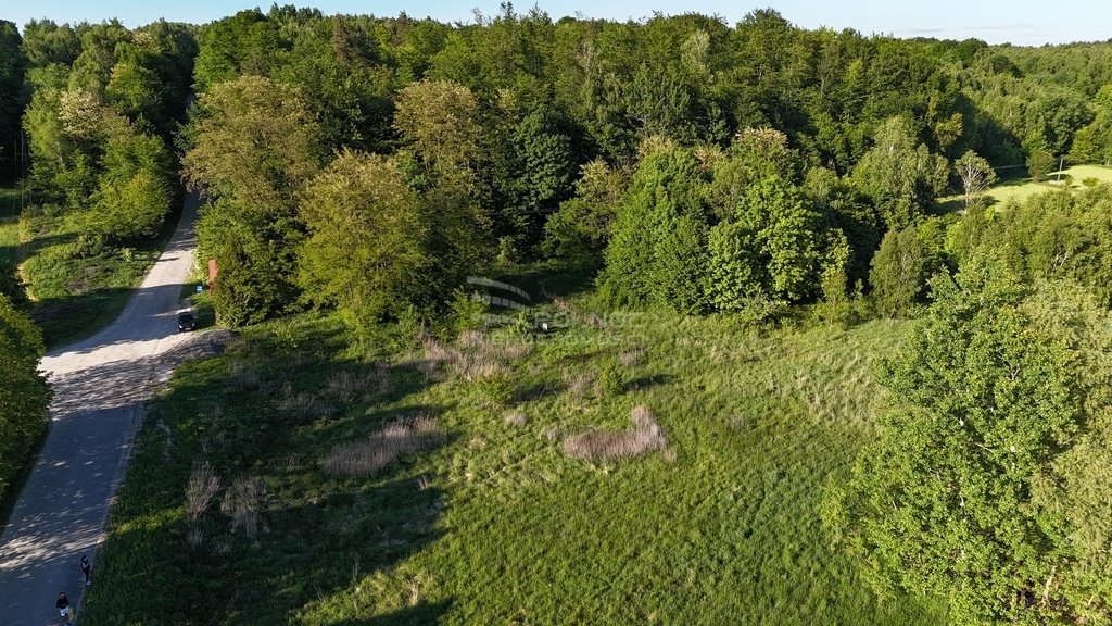 Działka inwestycyjna na sprzedaż Grabnik  25 600m2 Foto 9