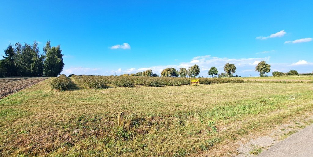 Działka budowlana na sprzedaż Tarło-Kolonia  1 827m2 Foto 3