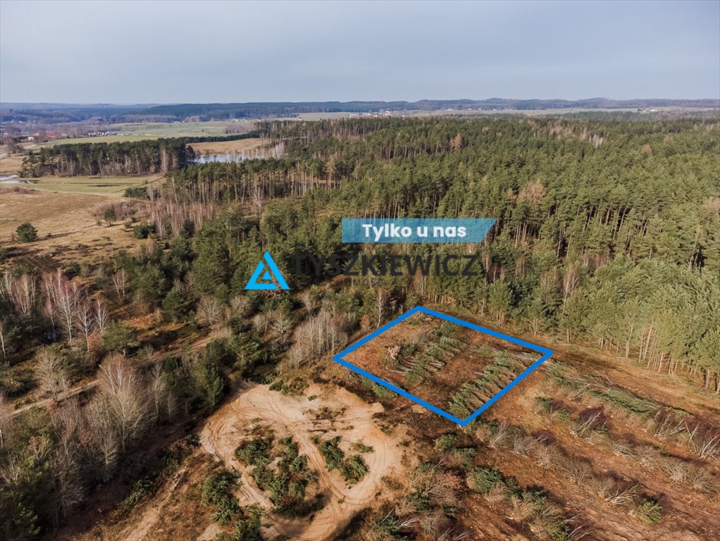 Działka 1174 m² z lasem, blisko jeziora, spokojna okolica Zakrzewo  1 174m2 Foto 1
