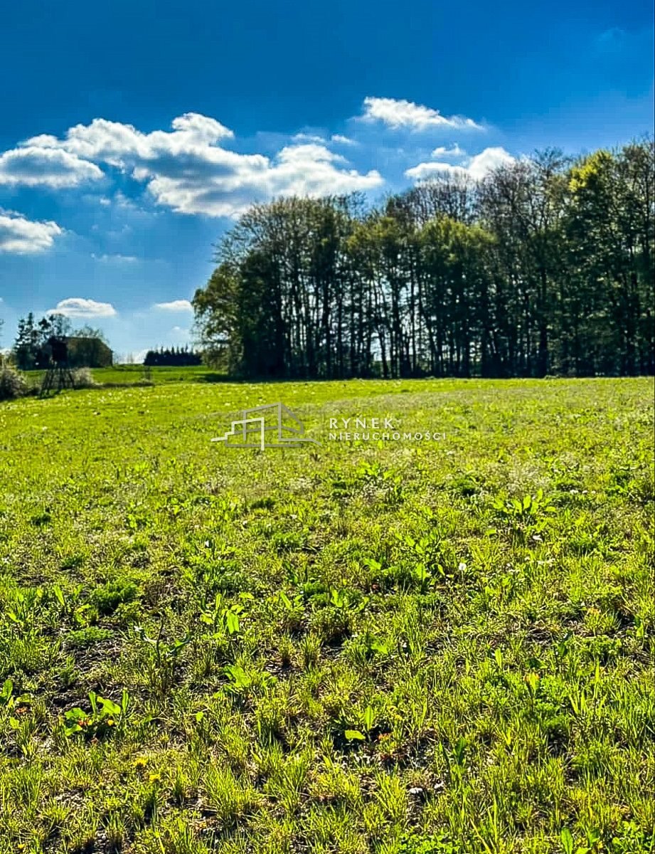 Działka inna na sprzedaż Międzyrzecze Dolne  3 030m2 Foto 10