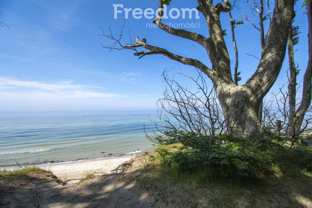 Mieszkanie czteropokojowe  na sprzedaż Dębina, Modrzewiowa  65m2 Foto 9