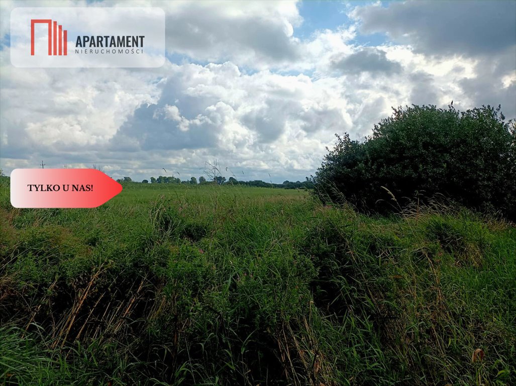 Działka 33 000 m² z lasami i zadrzewieniami w Anielinach Anieliny  33 000m2 Foto 1