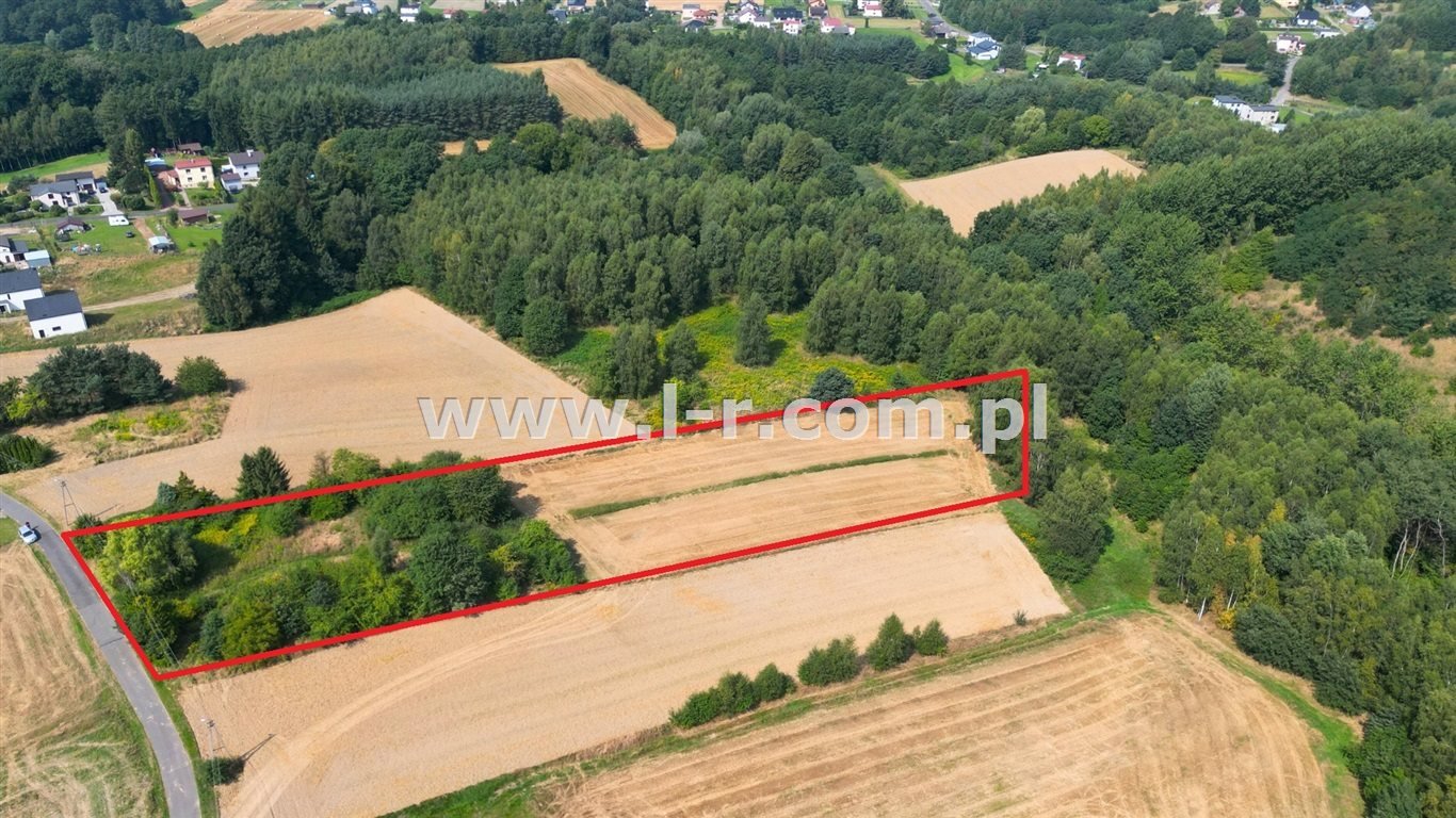 Do sprzedania działka 7 524 m² w Gogołowej z lasem i zabudową Gogołowa  7 524m2 Foto 1